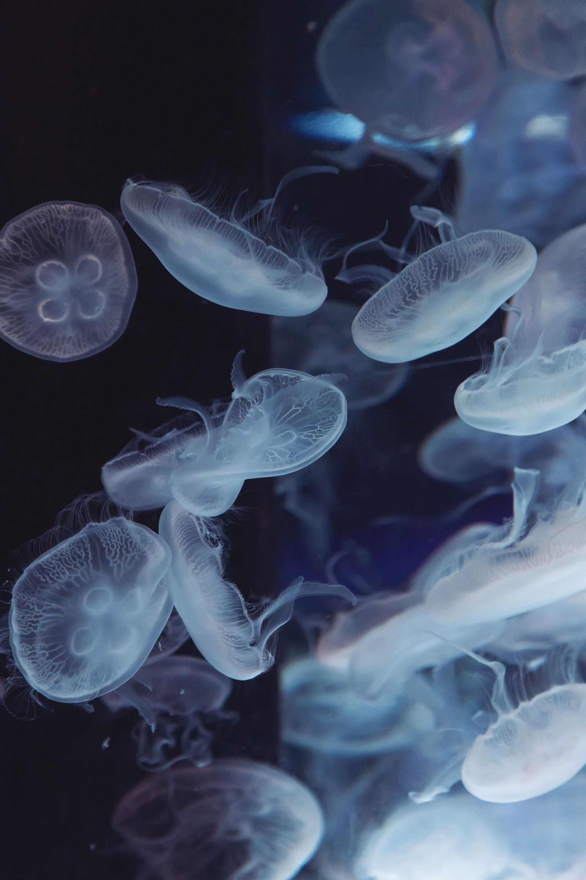 Dongkyun Vak. Heatwave